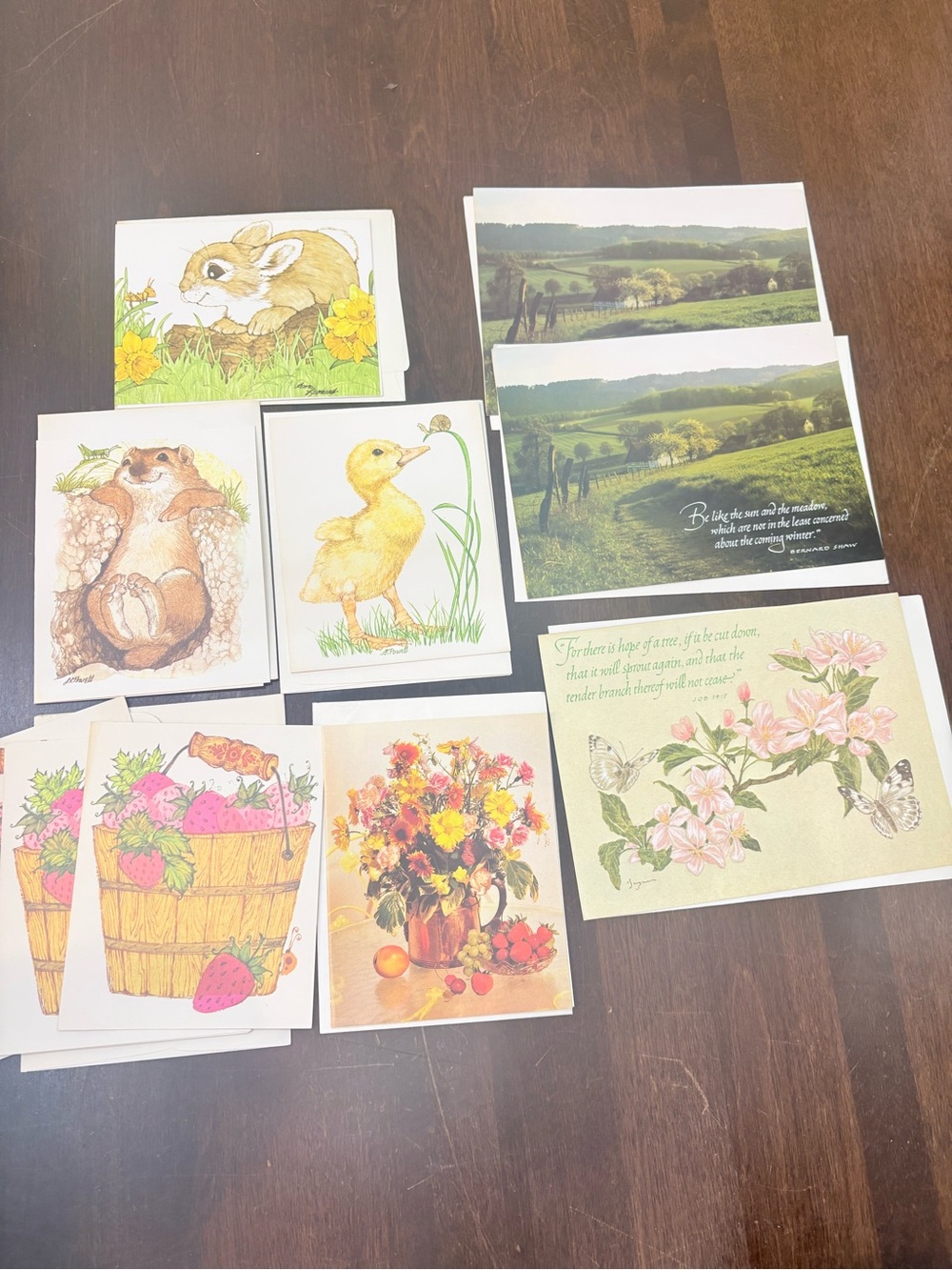 10 Assorted Current Floral, strawberry & Animal Blank Cards